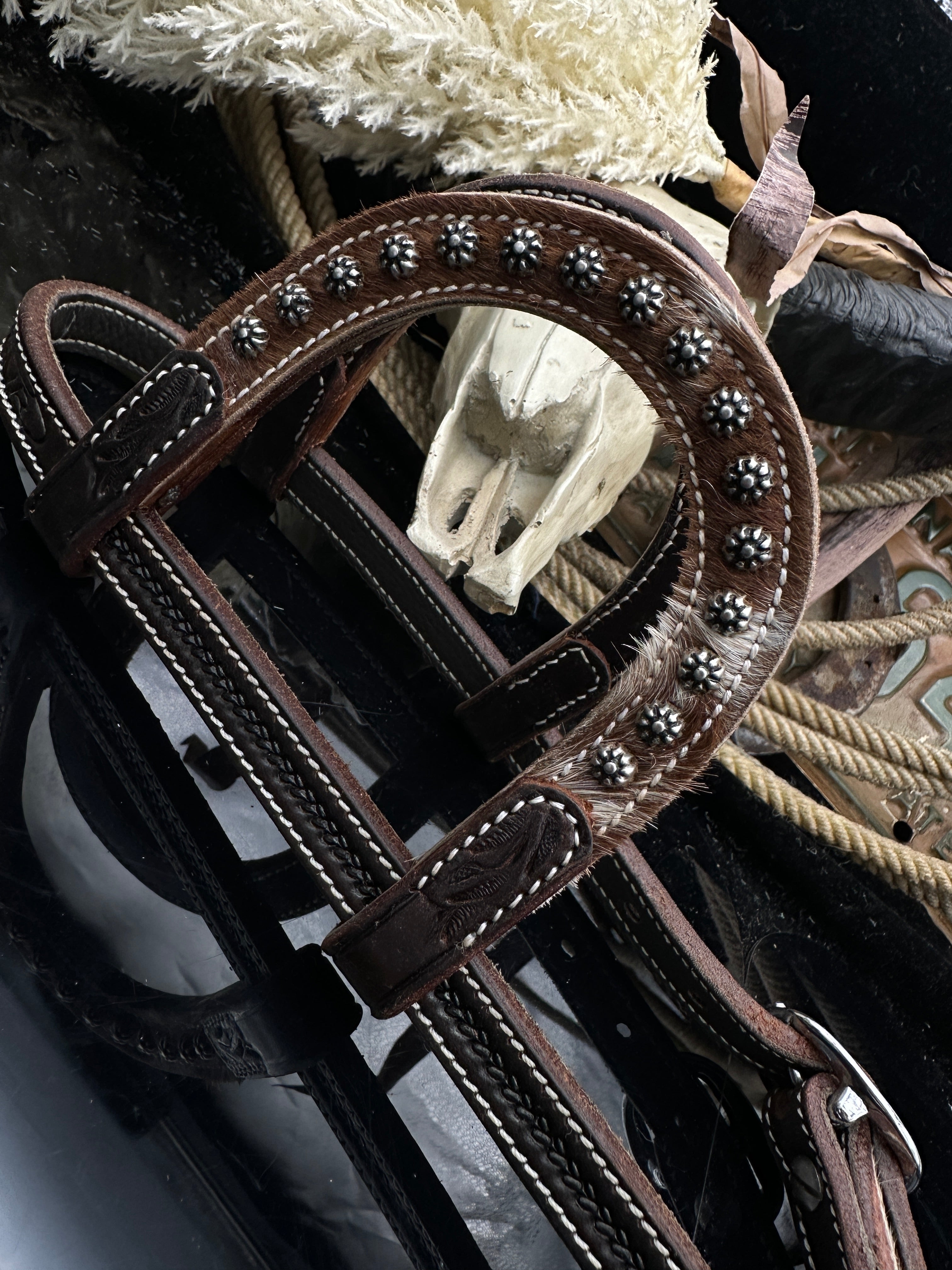 Basic | Dark chestnut | Cowhide studs western bridle