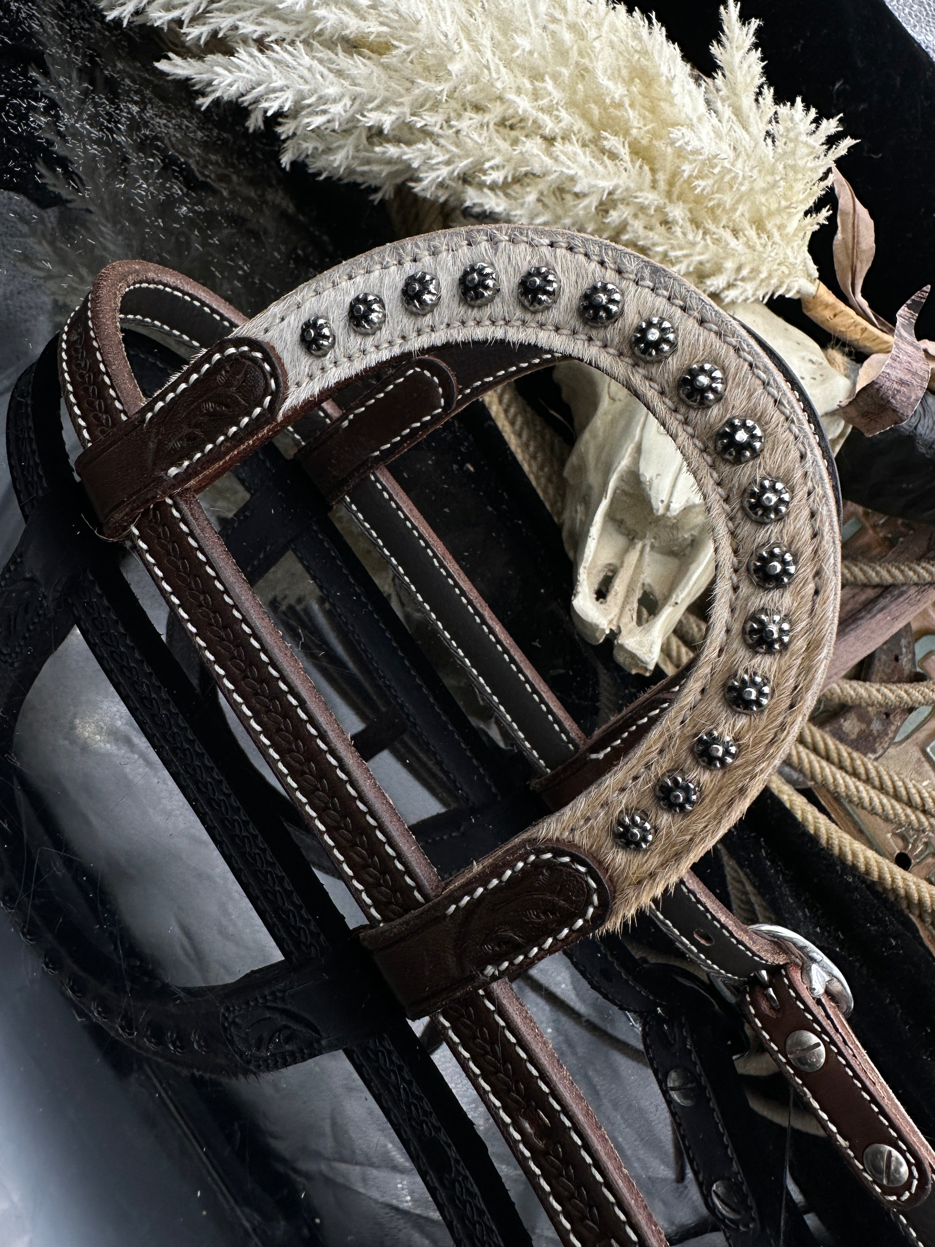 Basic | Dark Chestnut | light Cowhide studs western bridle