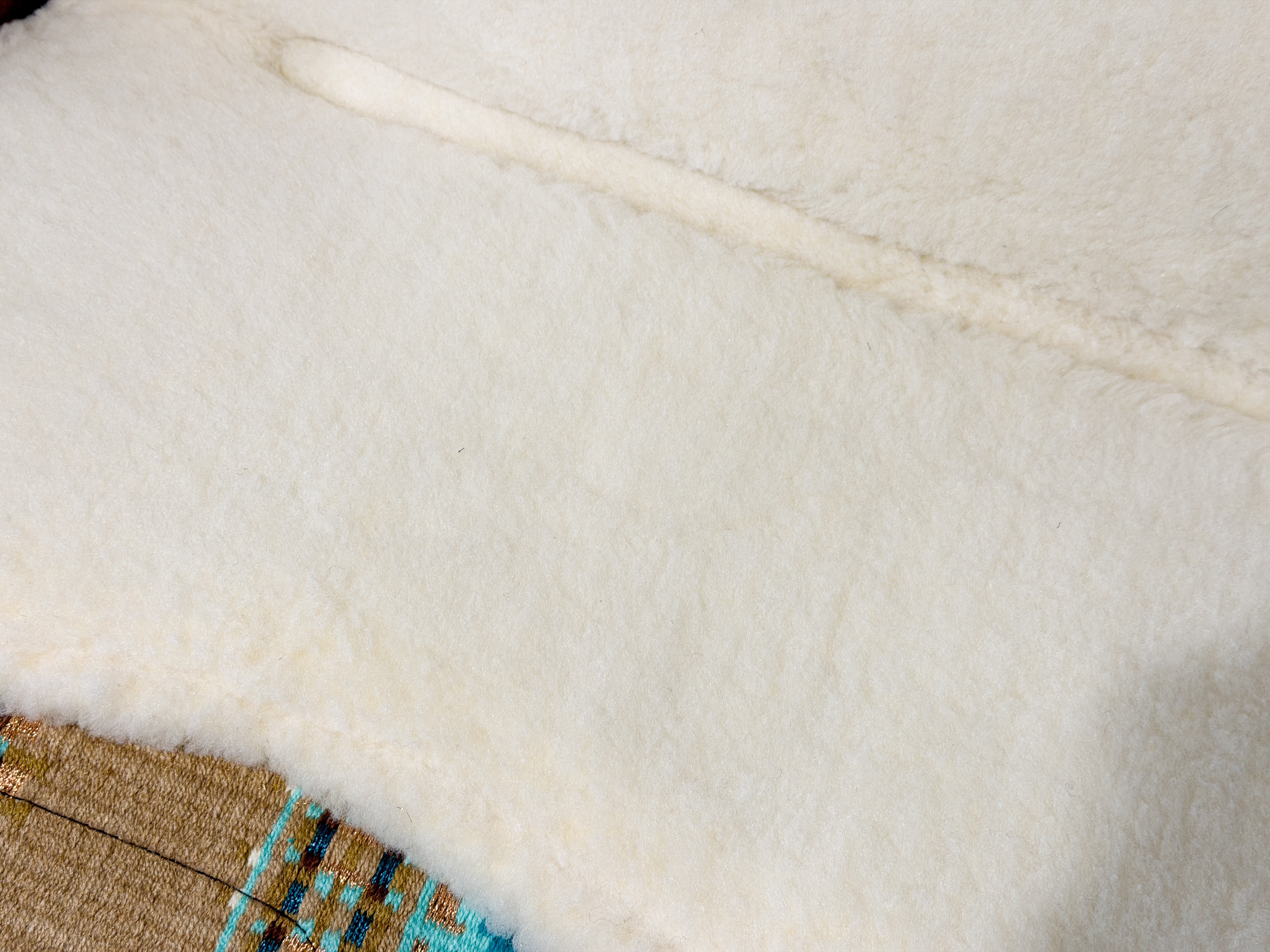 2in1 Show | contoured western pad | Canyon Pool