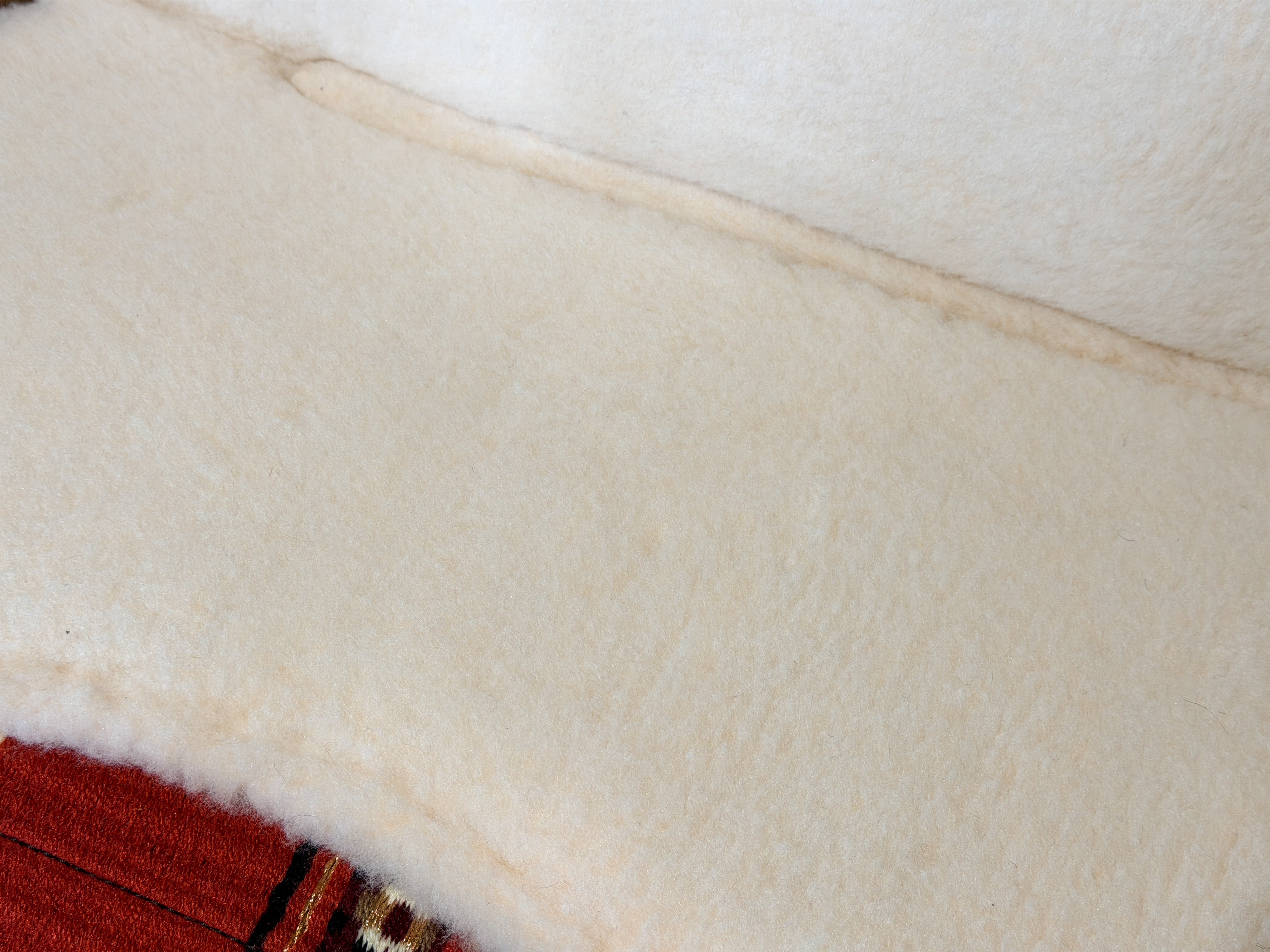 2in1 Show | contoured western pad | Chili Pepper