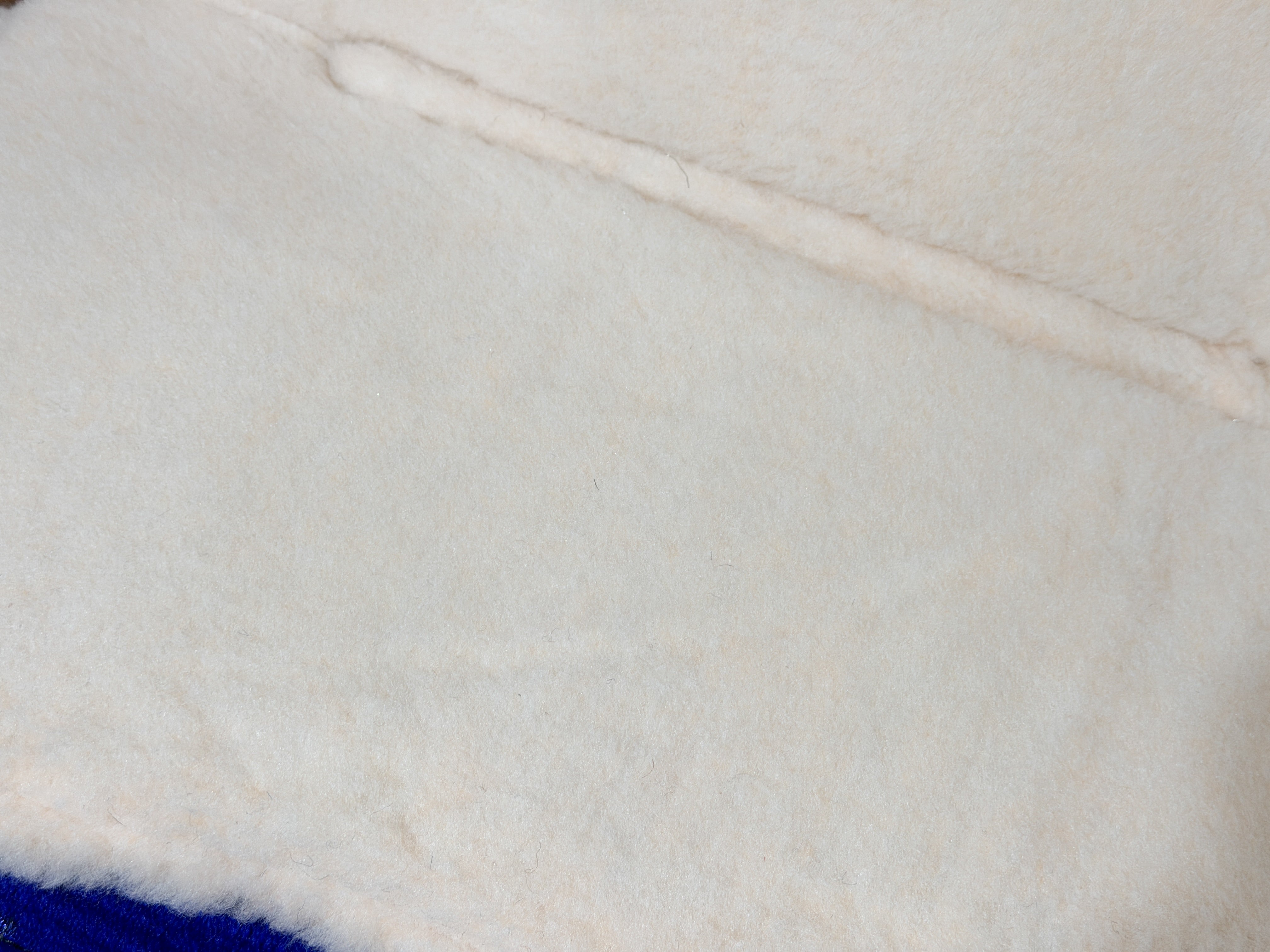 2in1 Show | contoured western pad | True Blue
