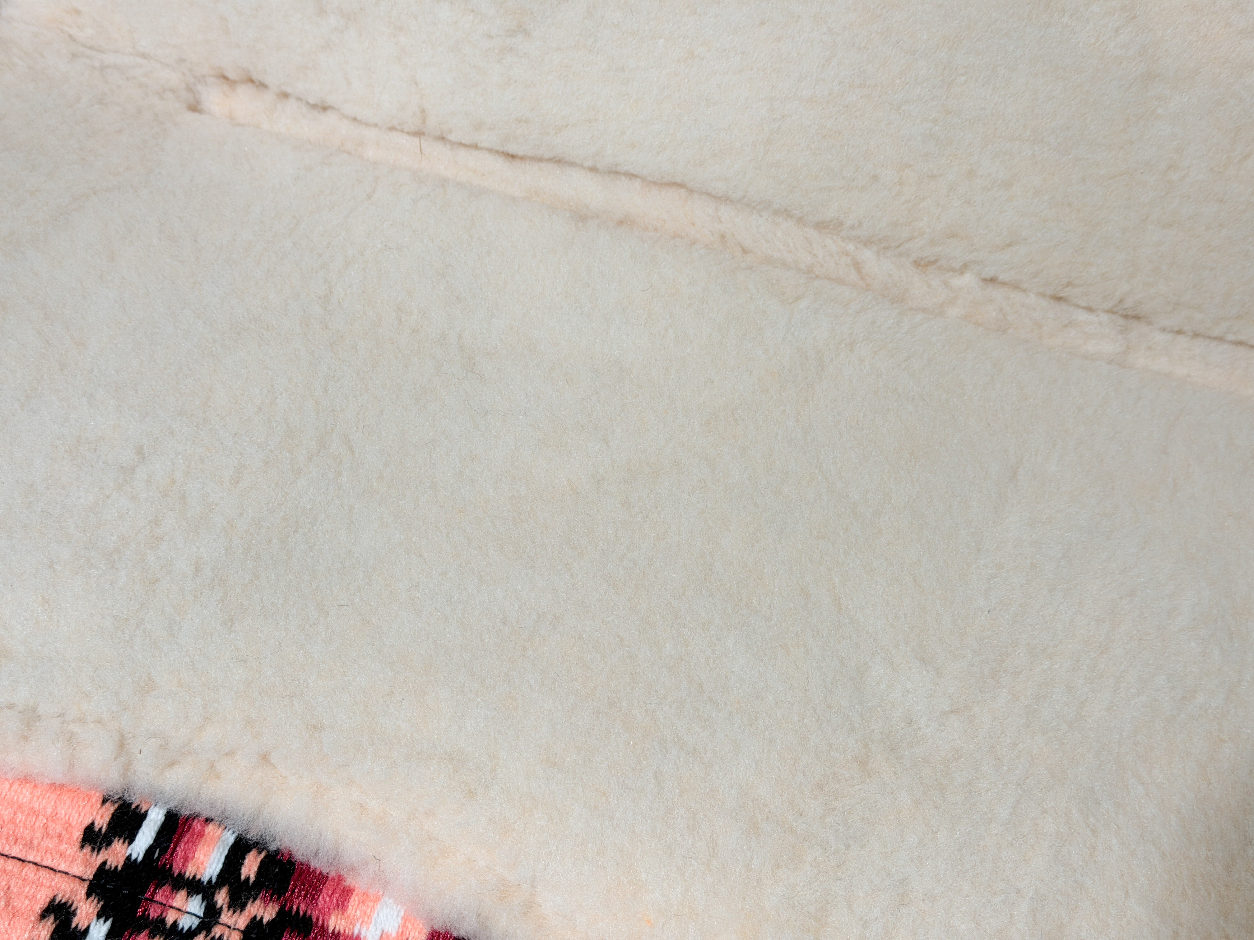 2in1 Show | contoured western pad | Canyon Peach