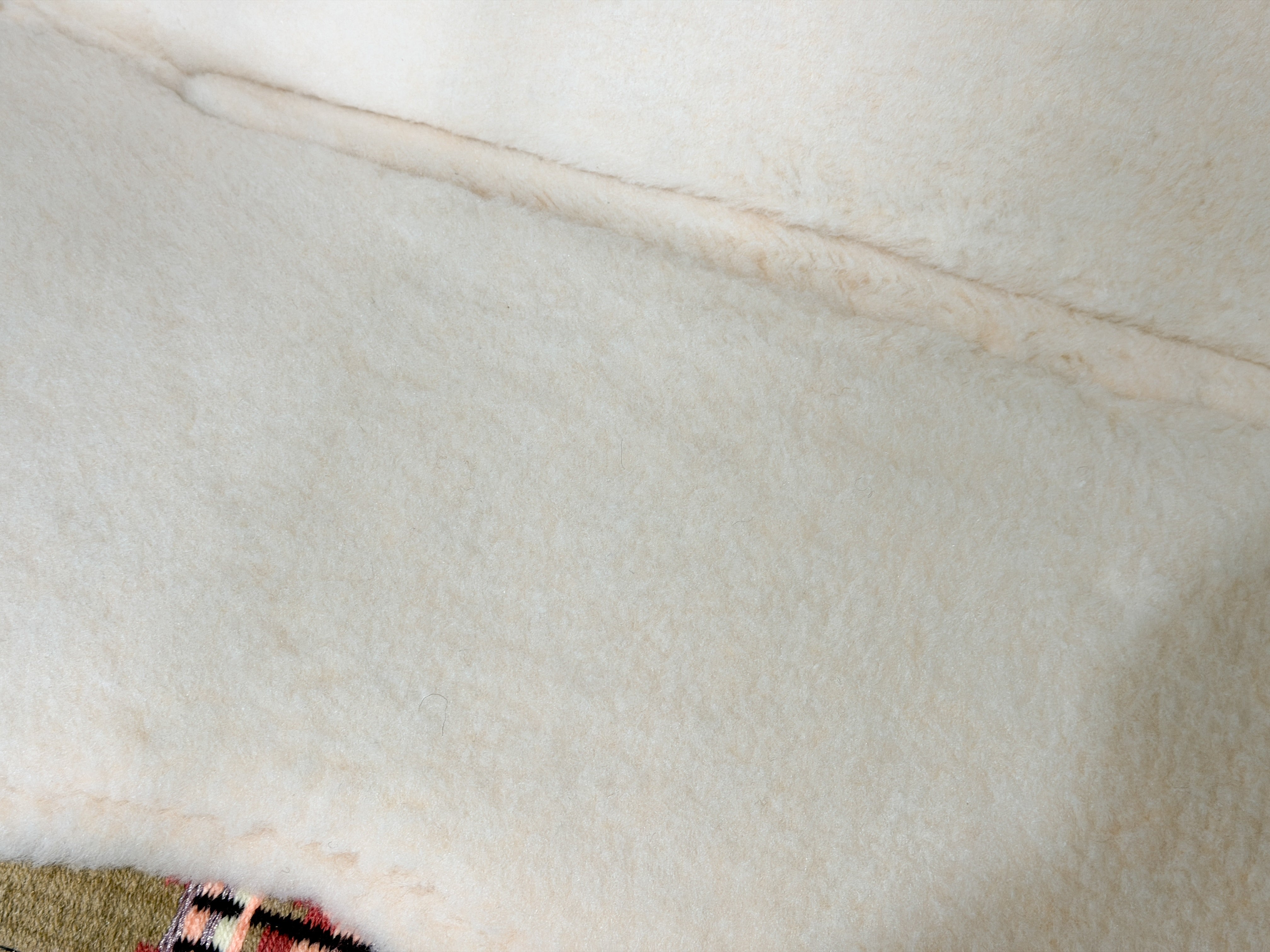 2in1 Show | contoured western pad | Tumbleweed Rose