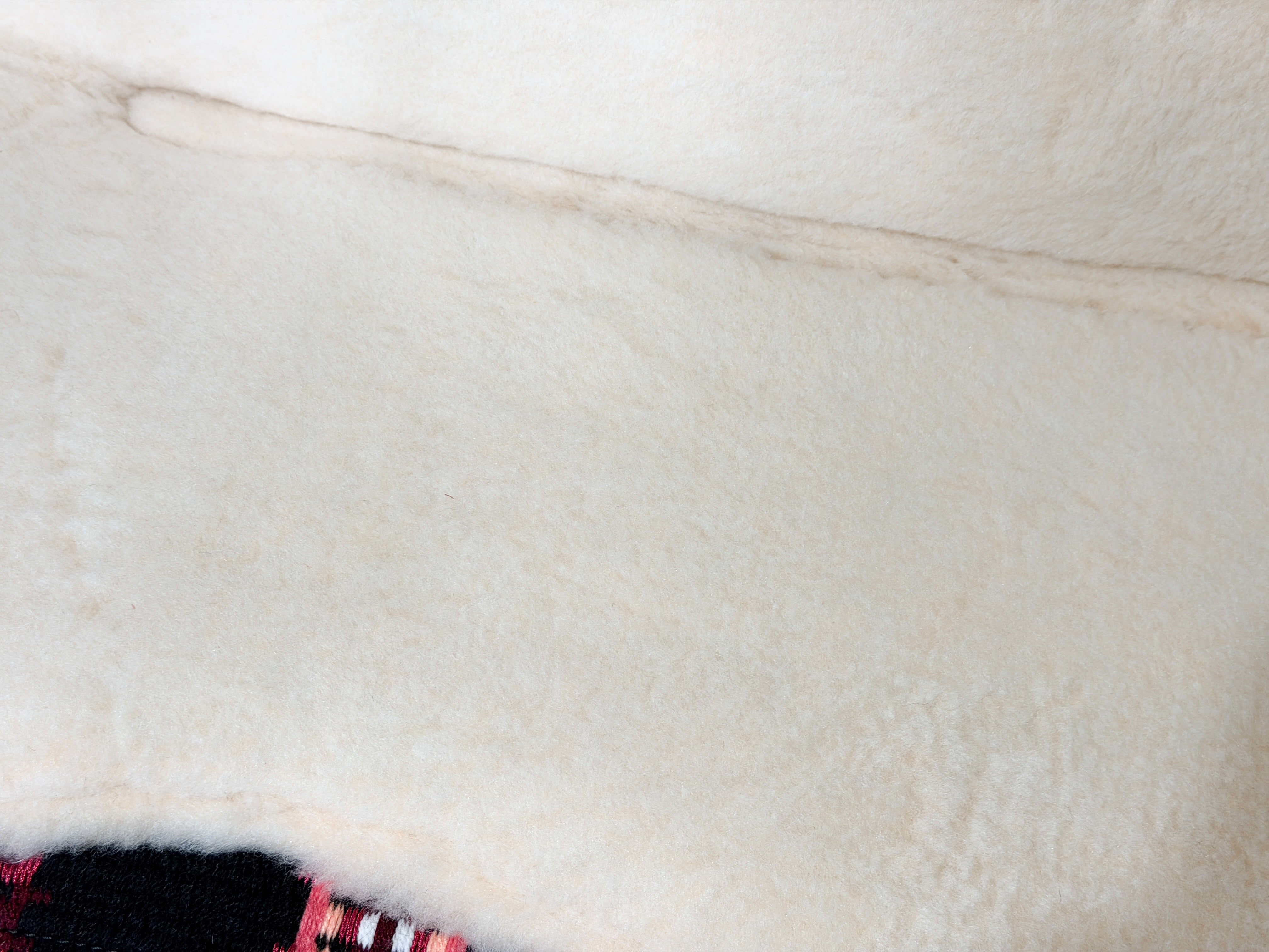2in1 Show | contoured western pad | Black Rose