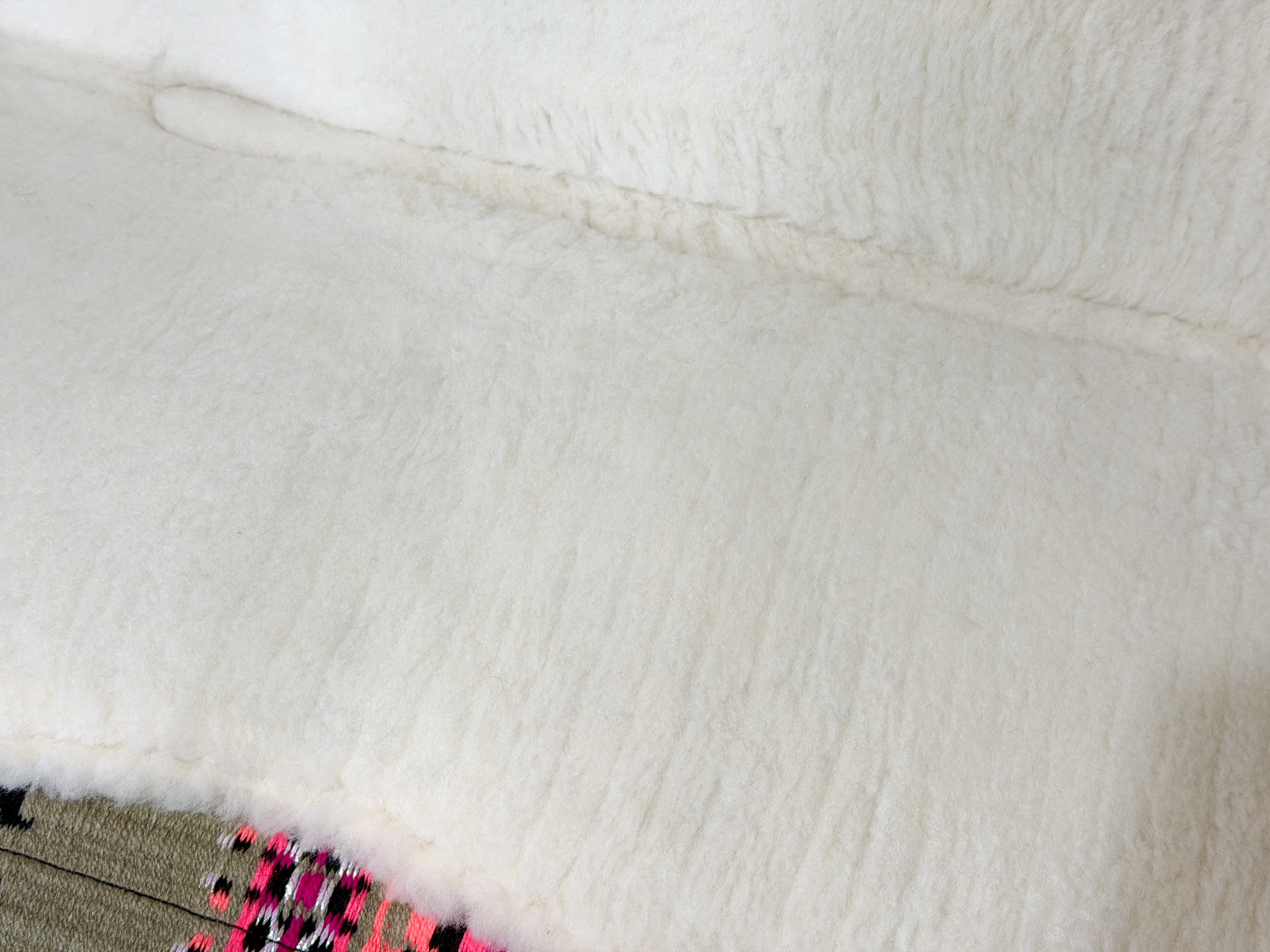 2in1 Show | Performance Western Pad | Desert Neon