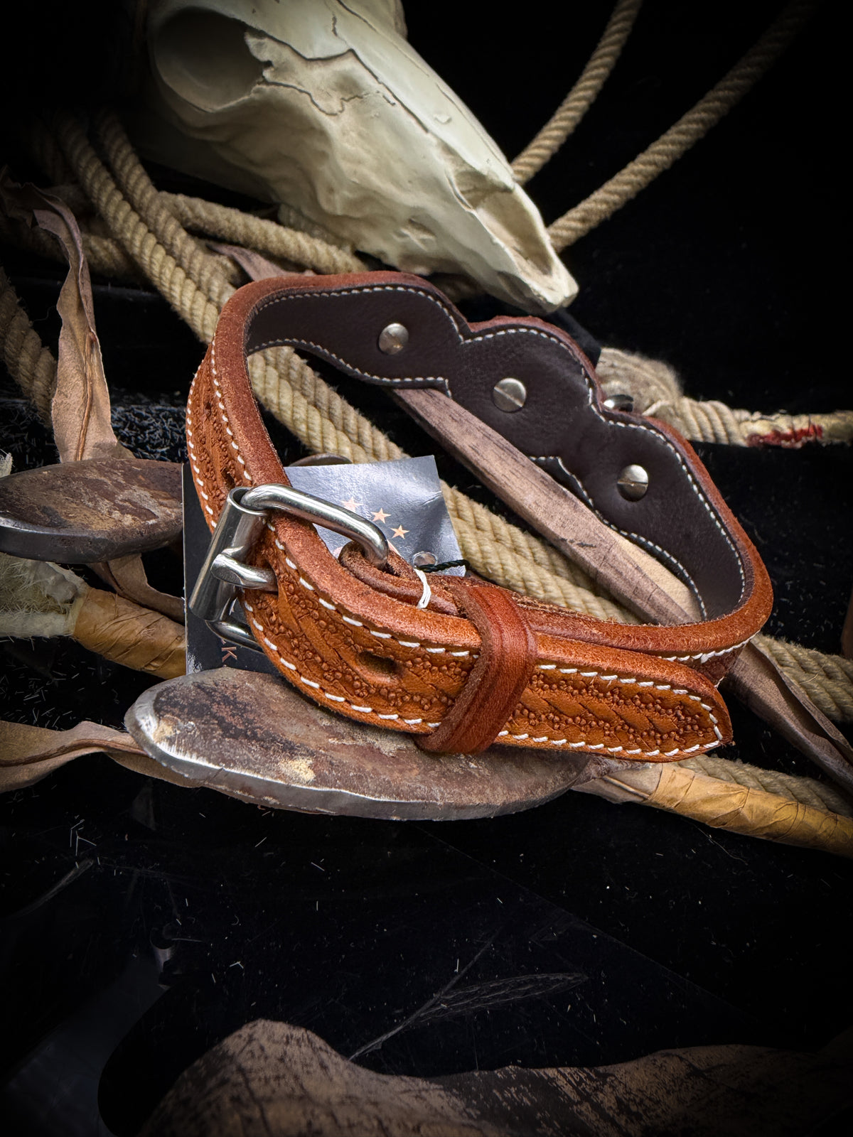 AR Dog Tack | Amber Shine | Western Collar | Size S