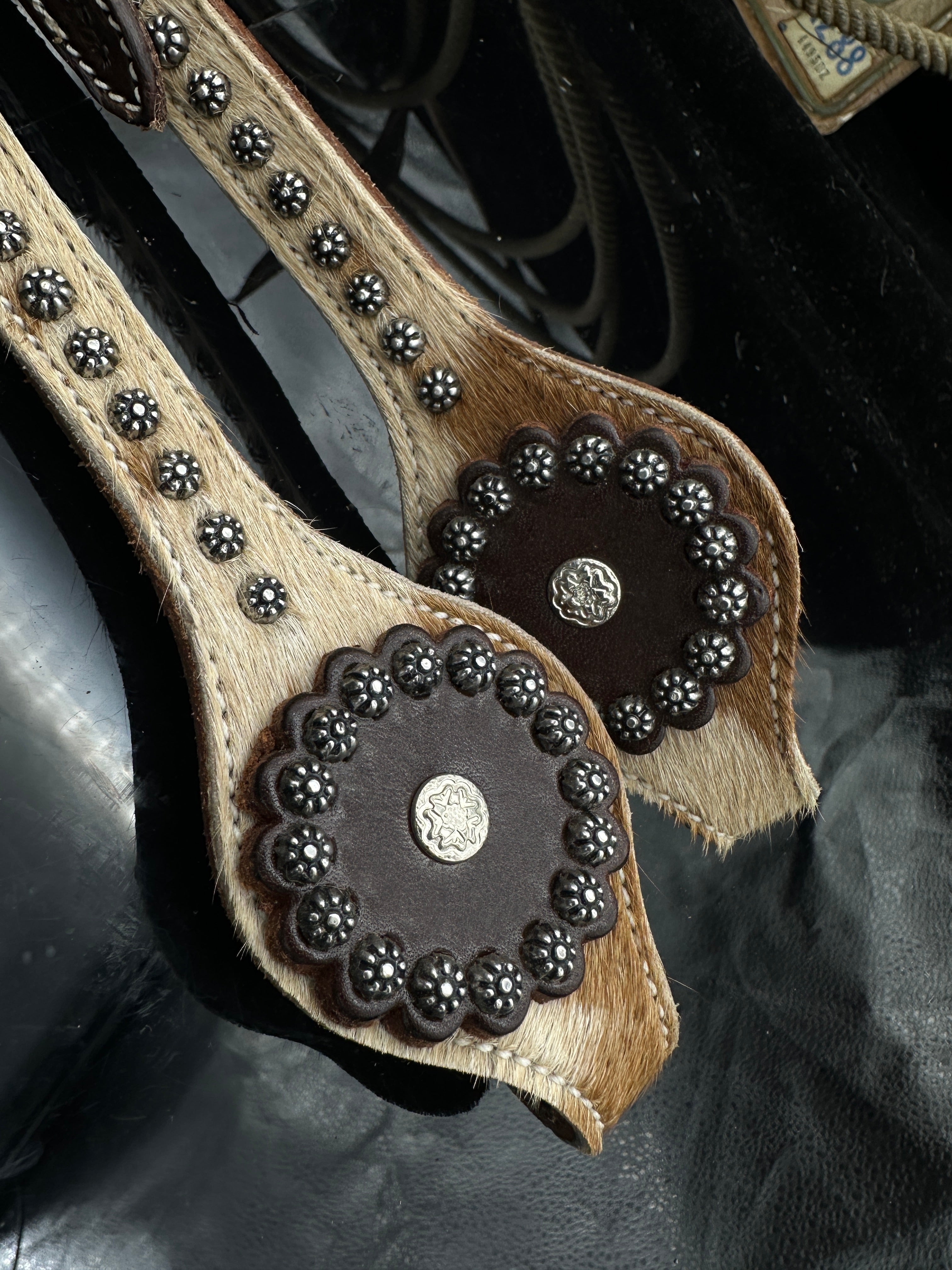Basic | Dark Chestnut | light Cowhide studs western bridle