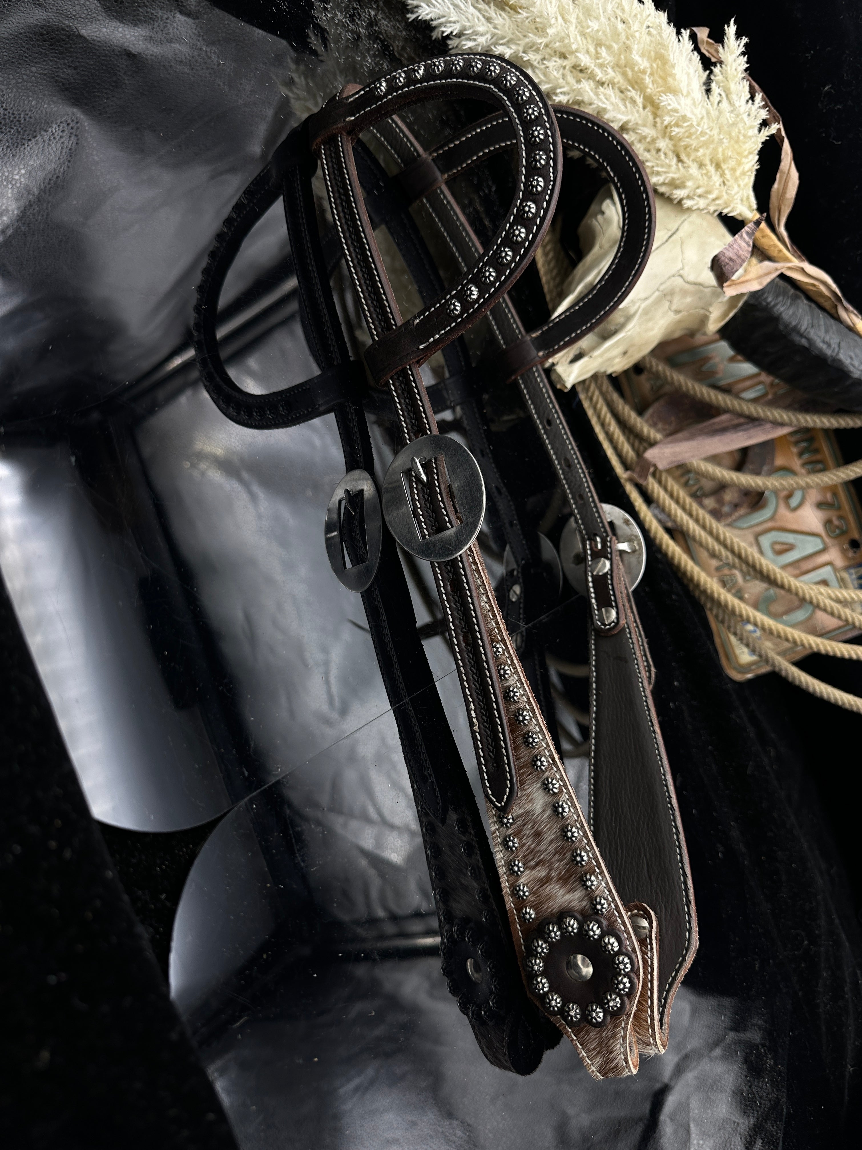Basic | Dark brown | Cowhide stud western bridle
