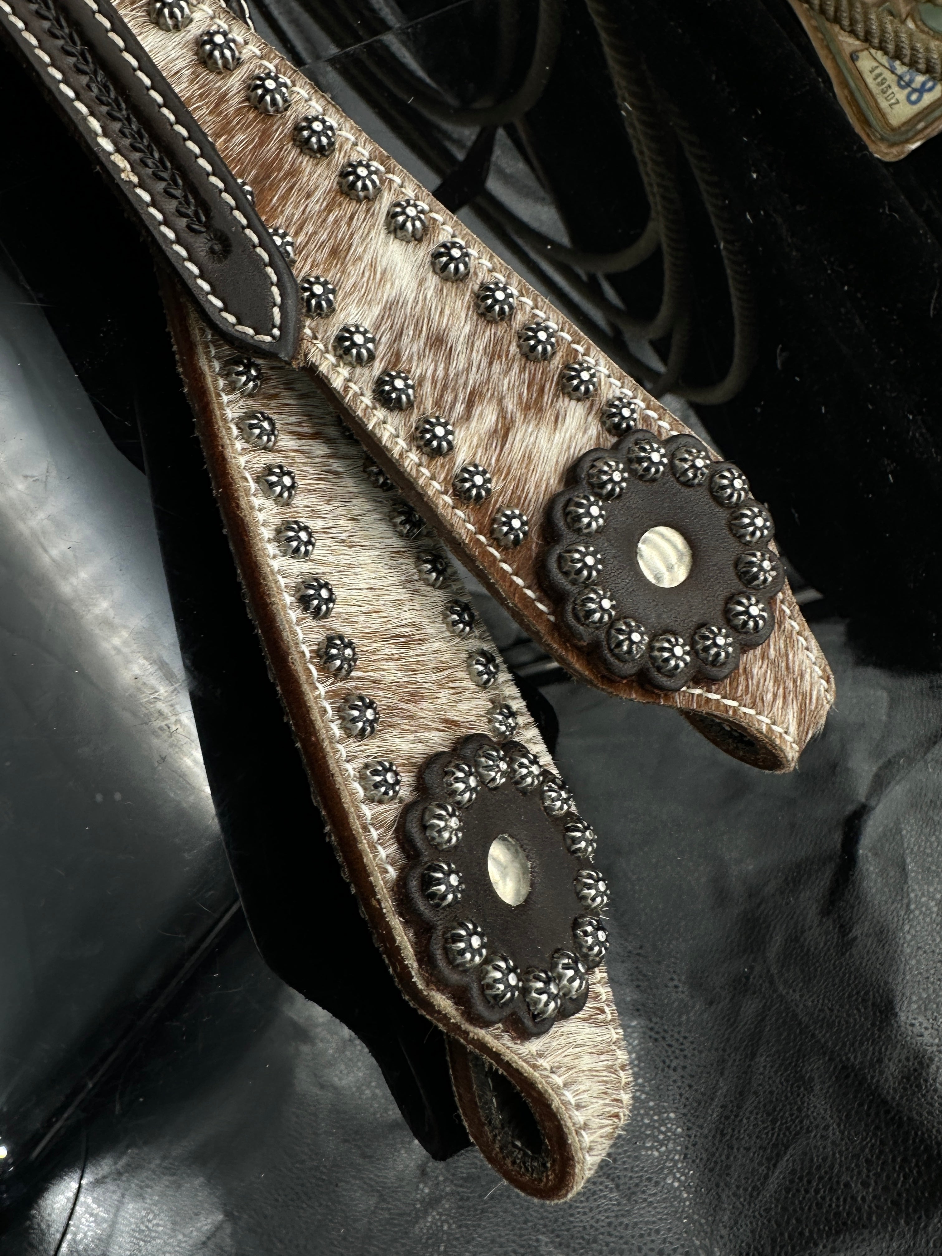 Basic | Dark brown | Cowhide stud western bridle