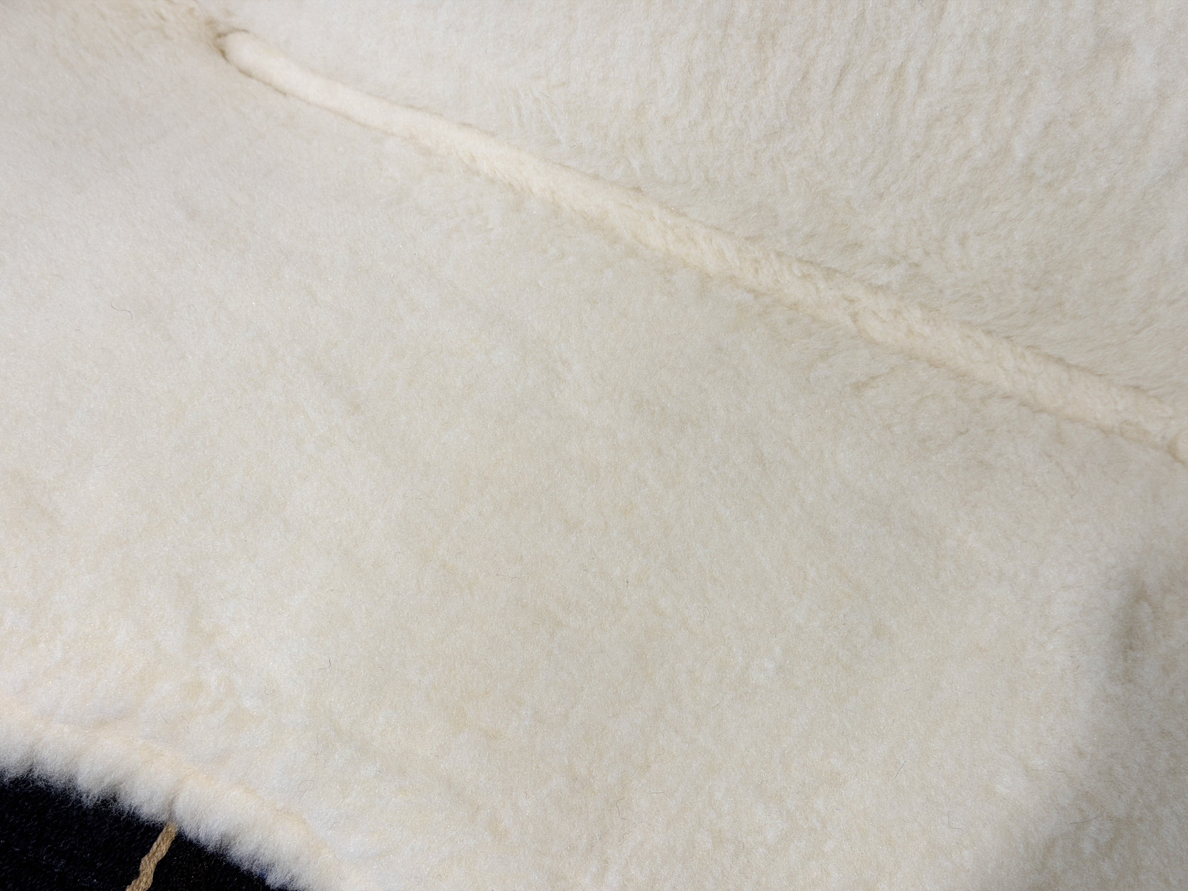 2in1 Show | contoured western pad | Blue Quartz