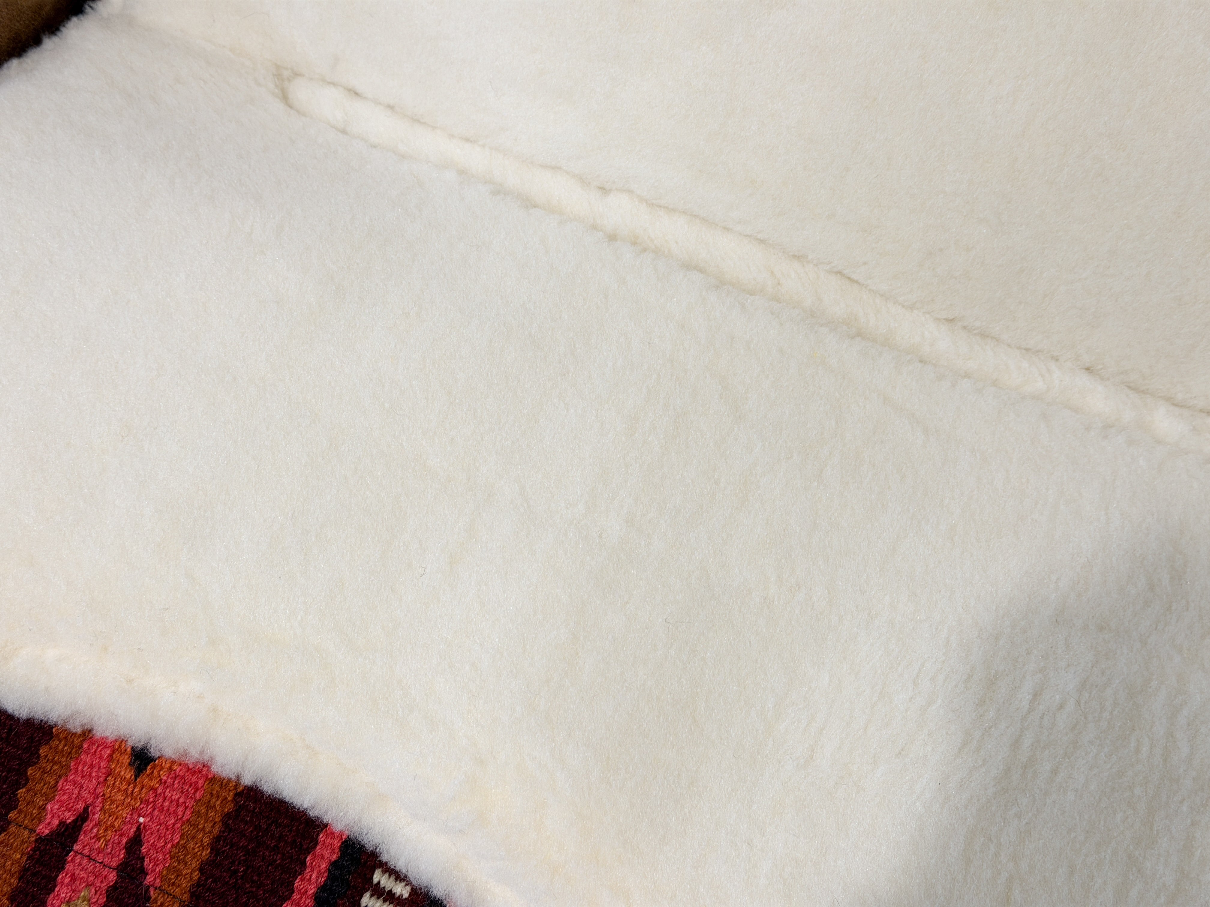 2in1 Show | contoured western pad | Shoreline