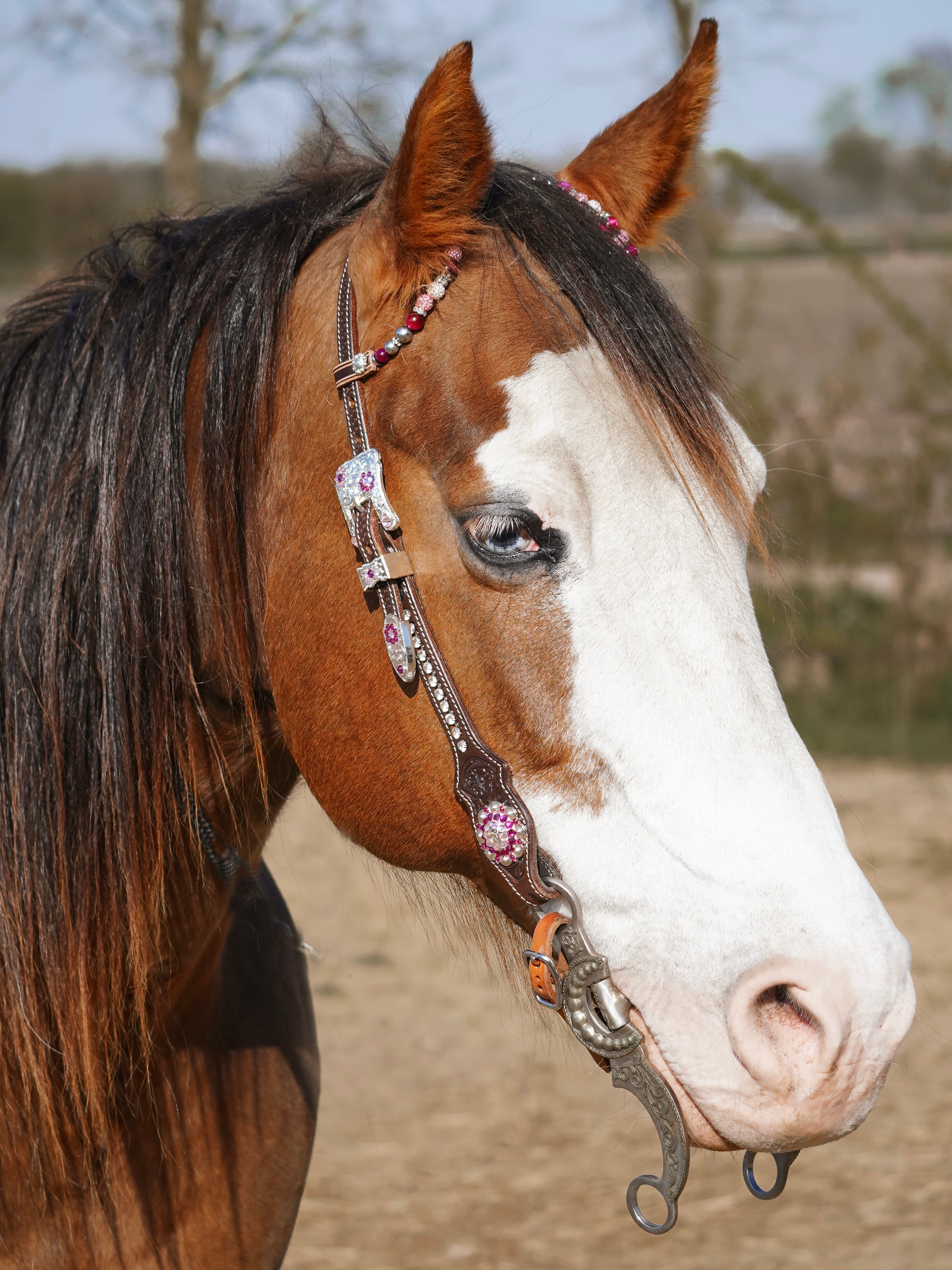 Premium | dark brown floral western bridle | Silver &amp; pink 