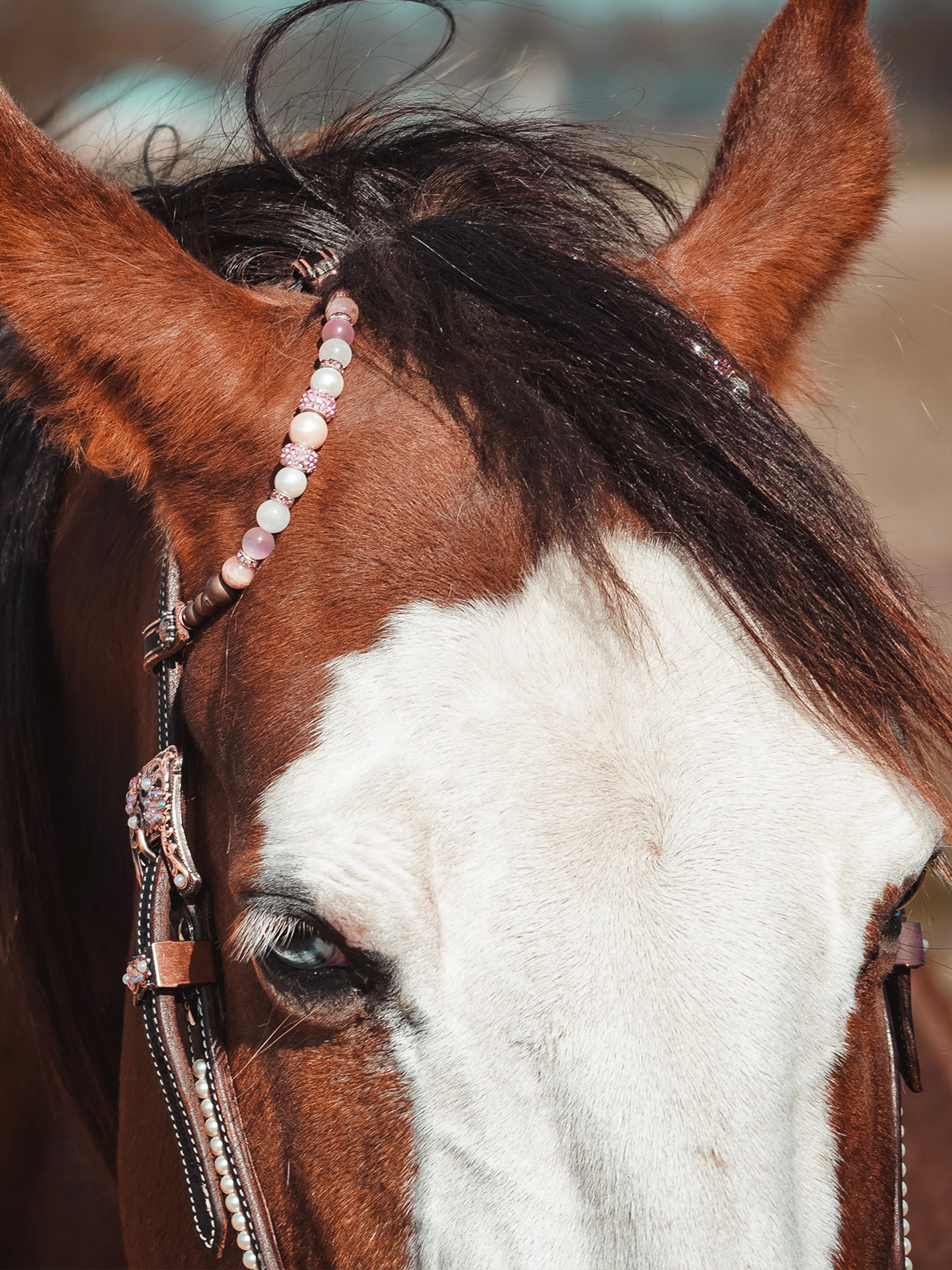 Premium | Dunkelkastanienbraunes Westernzaumzeug | Pink &amp; Swarovski Perlen